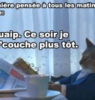 Les matins