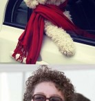Chien de BOSS