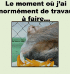 Travaux