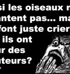 Oiseaux