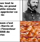 Boss