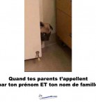 Nom Complet