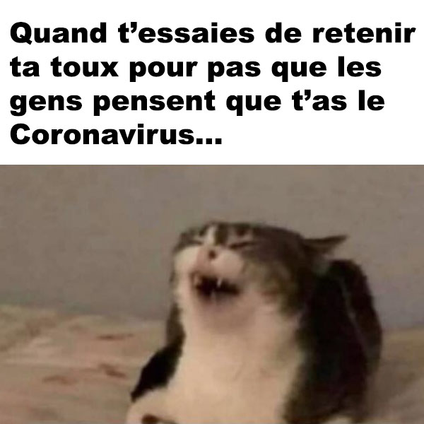 Le Gout De Tousser