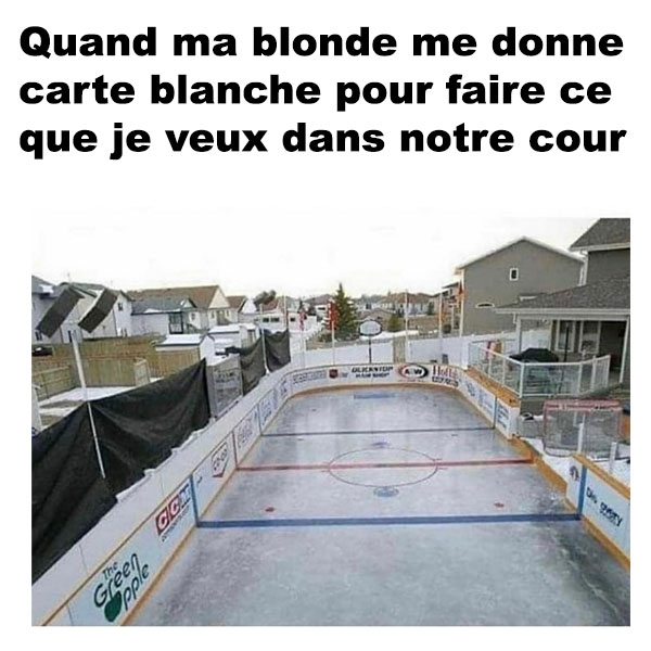 Carte Blanche