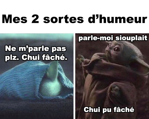 Mes 2 sortes d’humeur