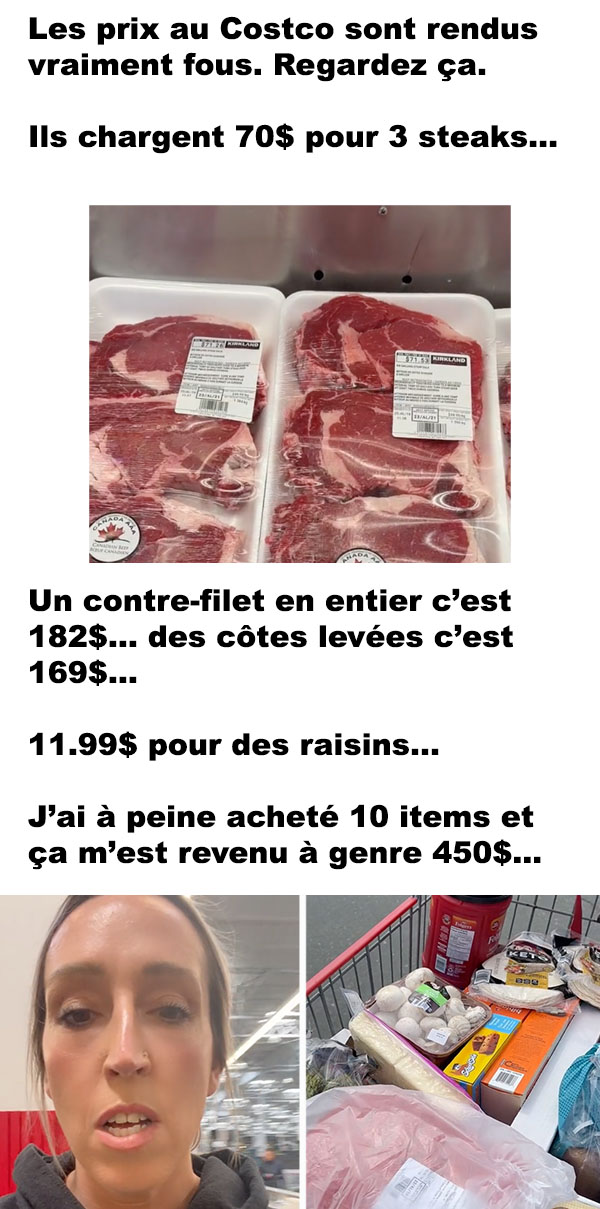 dashuhasd 1 Une cliente indignée dépense 450$ pour 10 articles chez Costco