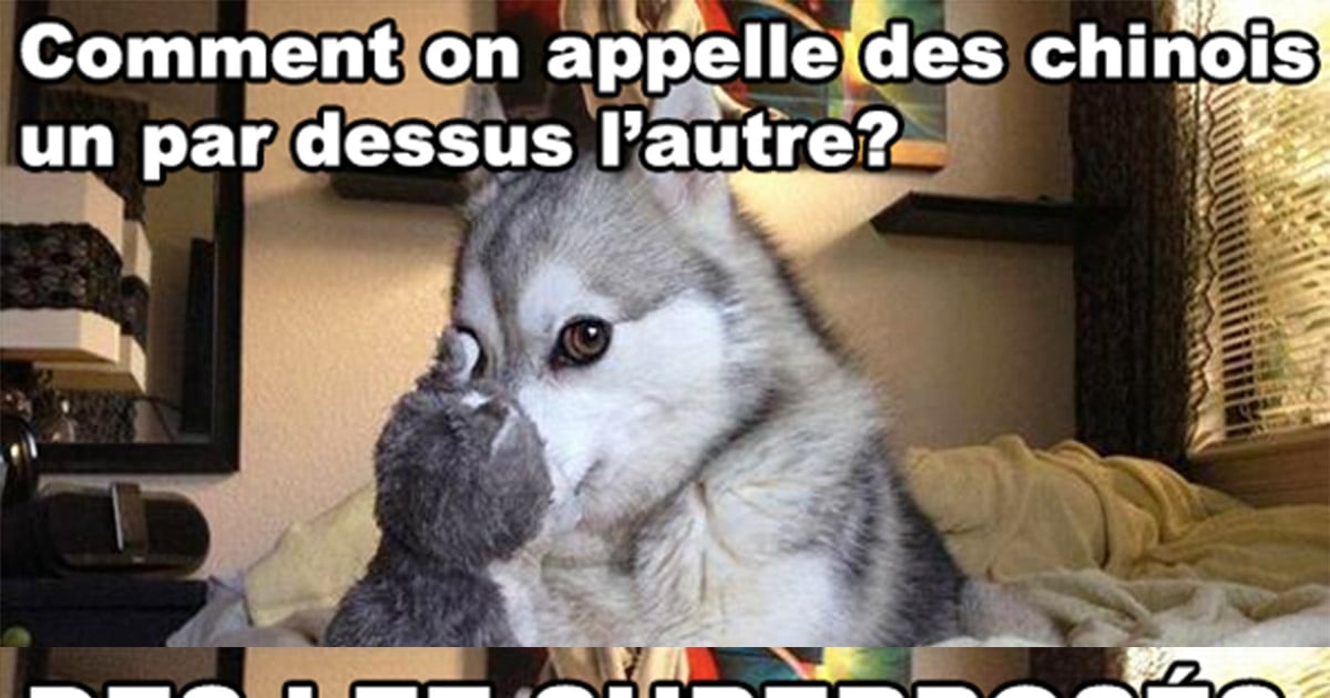 blague asiatique account resume