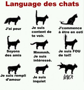 Baker Ross Porte Clés Super Rétractables Otif Pâques - Lot De 8