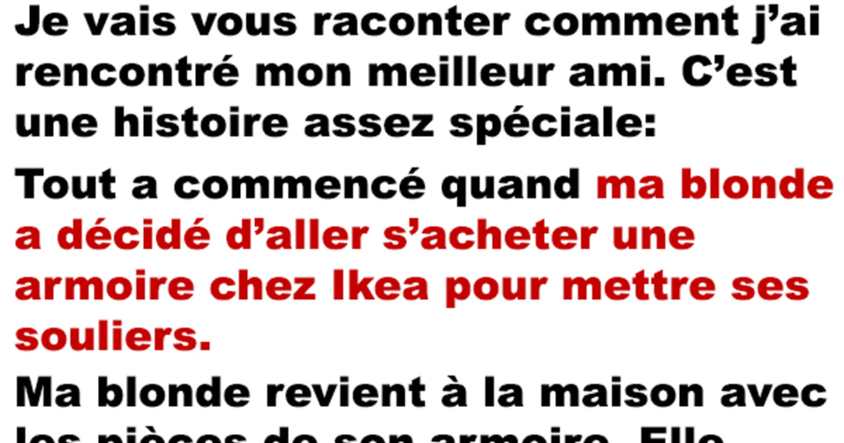 Rencontre un meilleur ami bon ou mauvais