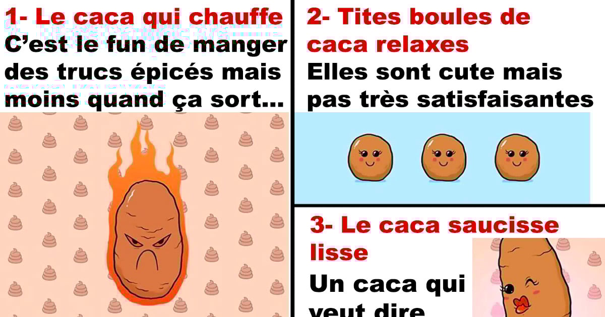 Les 14 sortes de cacas dans notre monde