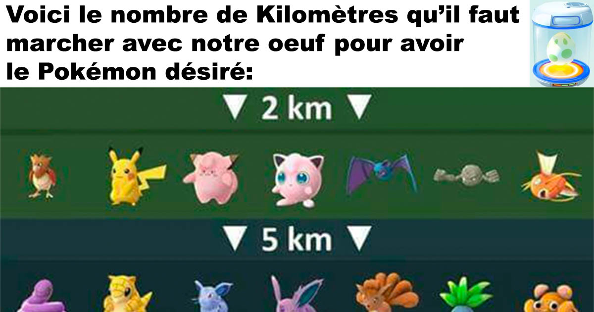 Oeufs dans Pokémon Go
